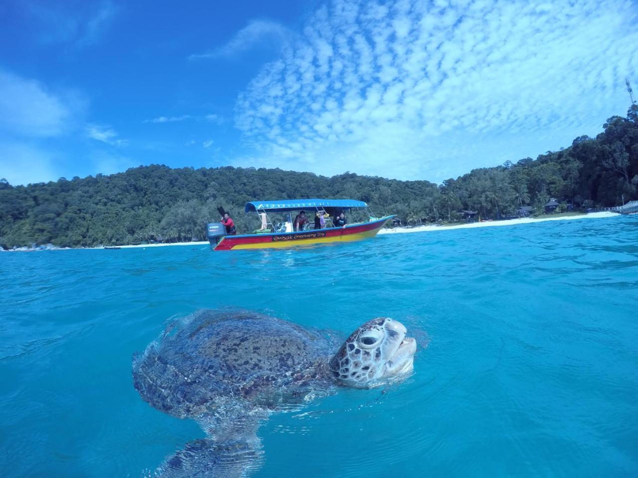 Ombak Dive Resort Perhentian Island Pulau Perhentian Kecil Exteriér fotografie